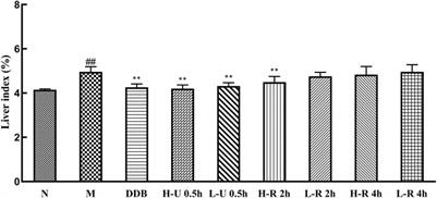 Hepatoprotective Effects of Different Extracts From Triphala Against <mark class="highlighted">CCl4-Induced Acute Liver Injury</mark> in Mice